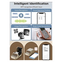 Niimbot Tiskárna štítků B21S Smart, bílá + role štítků 210 ks