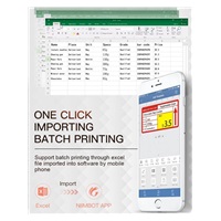 Niimbot Tiskárna štítků B21S Smart, bílá + role štítků 210 ks