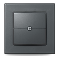 Homematic IP  Nástěnný dálkový ovladač - 2 tlačítka, antracit - HmIP-WRC2-A