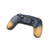 Freaks and Geeks Herní ovladač s motivem Hogwarts Legacy (PS4)