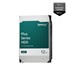 Synology 3,5" HDD HAT3310-12T Plus (NAS) (12TB, SATA III, 7200 RPM, 512MB)
