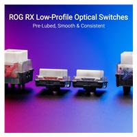 ASUS klávesnice ROG FALCHION RX Low profile (ROG NX Snow), US