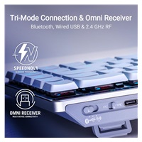 ASUS klávesnice ROG FALCHION RX Low profile (ROG NX Snow), US