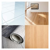 Livington Clean Water Spin Mop