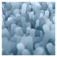 Livington Clean Water Spin Mop