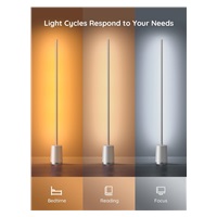 Govee Lyra Smart RGBICWW LED lampa + ovladač