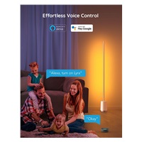 Govee Lyra Smart RGBICWW LED lampa + ovladač