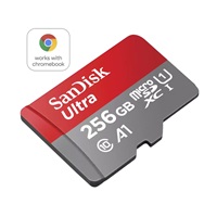 SanDisk MicroSDXC karta 256GB Ultra pro Chromebook (R:160/W:260 MB/s, UHS I, C10, A1)
