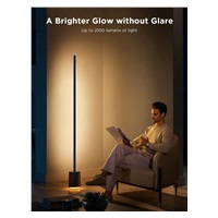 Govee Floor Lamp Pro RGBICWW LED lampa s reproduktorem + ovladač