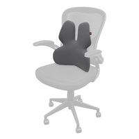 CONNECT IT Anatomická bederní opěrka na židli For Health GamaPro, Šedá