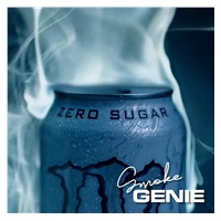 PMI SmokeGENIE - Hazer Kit