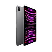 APPLE iPad Pro 11" Wi-Fi + Cellular 2TB - Silver 2024