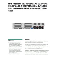 HPE PL DL380g11 4510 (2.4/12C) 2x32G (p64706) 2x960G SSD (P40498) 8SFF MR408i-o 2x1000W 4p1G Smart Choice