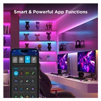 Govee WiFi RGBICW Smart PRO LED pásek 5m Matter - extra odolný