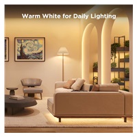 Govee WiFi RGBICW Smart PRO LED pásek 10m Matter - extra odolný