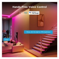 Govee WiFi RGBICW Smart PRO LED pásek 10m Matter - extra odolný