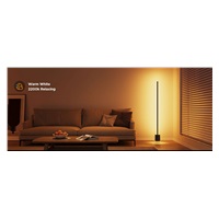 Govee RGBICWW Floor Lamp 2 RGBICWW Matter + ovladač