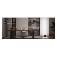 Govee RGBICWW Floor Lamp 2 RGBICWW Matter + ovladač