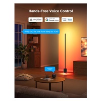 Govee RGBICWW Floor Lamp 2 RGBICWW Matter + ovladač