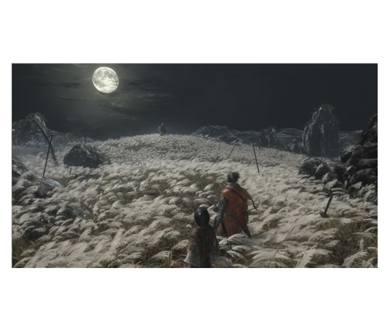 PS4 hra Sekiro: Shadows Die Twice GOTY Edition