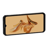 Smartphone Ulefone Armor 17 Pro 8GB/256GB (Black)