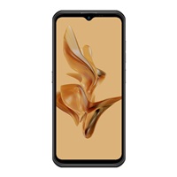 Smartphone Ulefone Armor 17 Pro 8GB/256GB (Black)