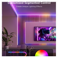 Govee Ultra Bright RGBICW Pro 3m pásek Matter