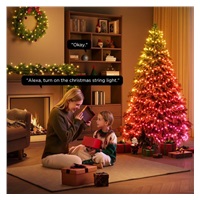 Govee RGBW osvětlení pro vánoční stromek 20m Matter