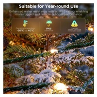 Govee RGBW osvětlení pro vánoční stromek 20m Matter