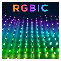 Govee RGBIC venkovní světelná síť - 1,43 x 0,85m Matter