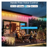 Govee Smart LED rampouchy RGB 10m Matter