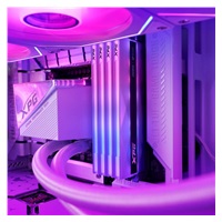 ADATA XPG DIMM DDR5 32GB (Kit of 2) 6000MHz CL30 Lancer NEON RGB