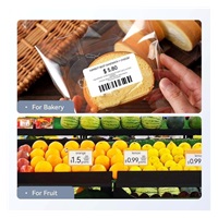 Niimbot Tiskárna štítků K3 Smart, modrá + role štítků 230 ks