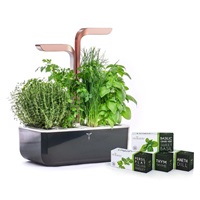 Véritable SMART - Automatický květináč s regulací osvětlení, černá měděná + 4 bylinkové náplně