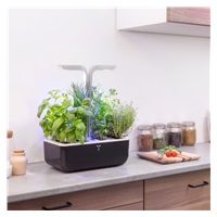 Véritable SMART - Automatický květináč s regulací osvětlení, černá měděná + 4 bylinkové náplně