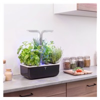 Véritable SMART - Automatický květináč s regulací osvětlení, černá měděná + 4 bylinkové náplně