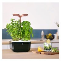 Véritable Exky SMART - Automatický květináč s regulací osvětlení, černá měděná + 2 bylinkové náplně