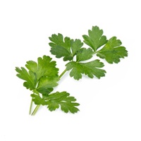 Véritable Lingot Italská petržel - BIO