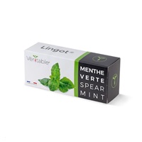 Véritable Lingot Máta klasnatá