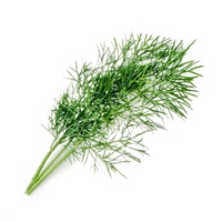 Véritable Lingot Kopr - BIO