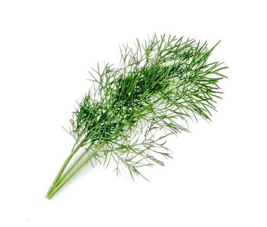 Véritable Lingot Kopr - BIO