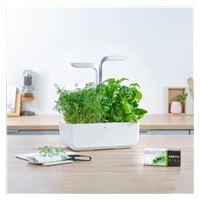 Véritable Lingot Kopr - BIO