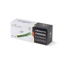 Véritable Lingot Čínská pažitka - BIO