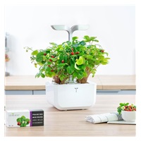 Véritable Lingot Divoké červené jahody