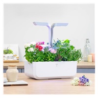 Véritable Lingot Flox