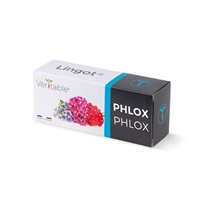 Véritable Lingot Flox