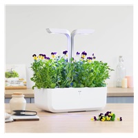 Véritable Lingot Maceška - BIO