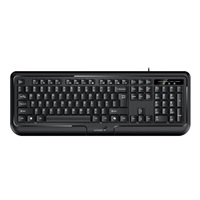 GENIUS klávesnice KB-118 II / Drátová/ Copilot/ USB/ černá/ CZ+SK layout