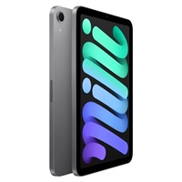 APPLE iPad mini (7. gen) Wi-Fi + Cellular 128GB - Space Grey
