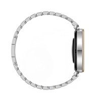 Huawei Watch GT4 41mm (Aurora-B19T), silver EU